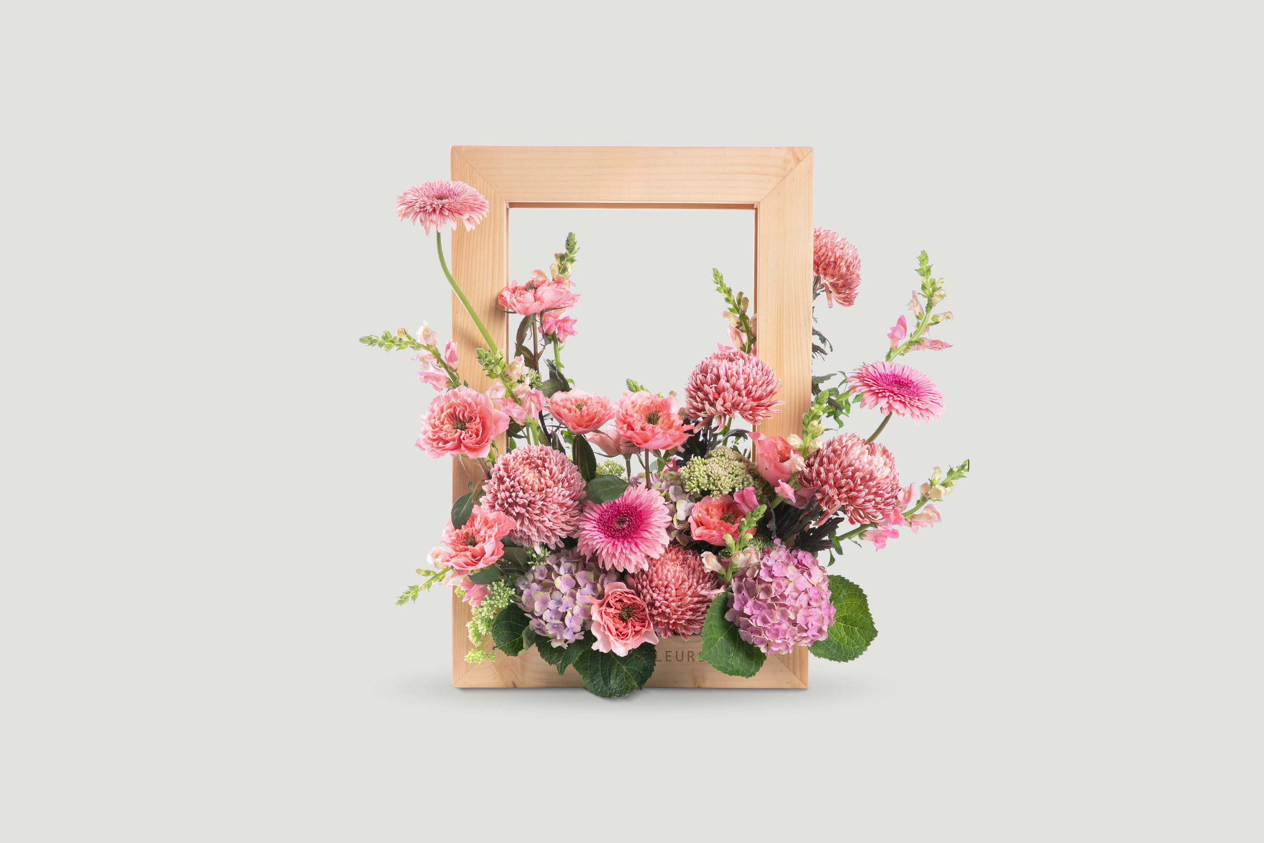 Framed Fantasy