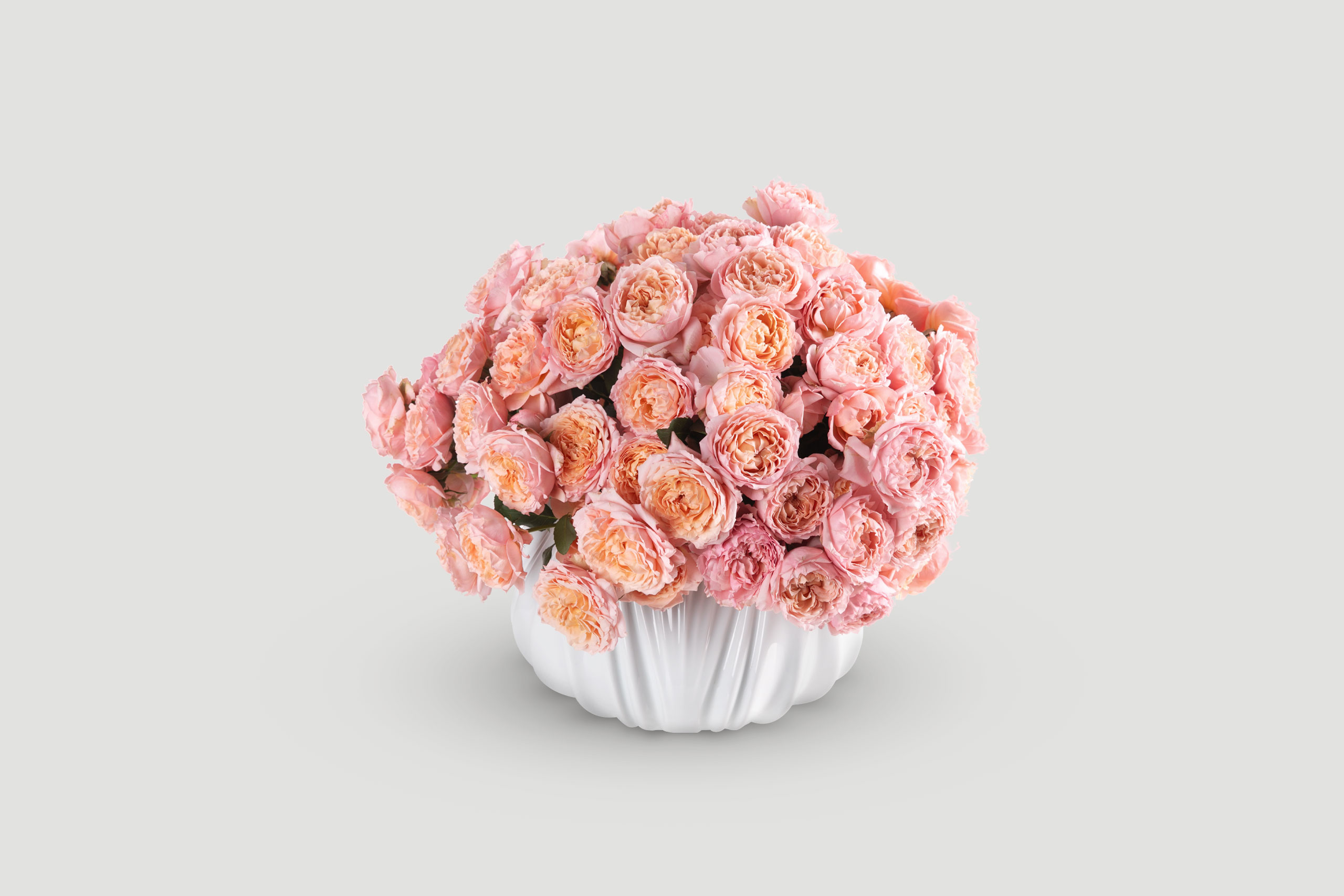 Fresh Pink Roses with White Bowl Delivery