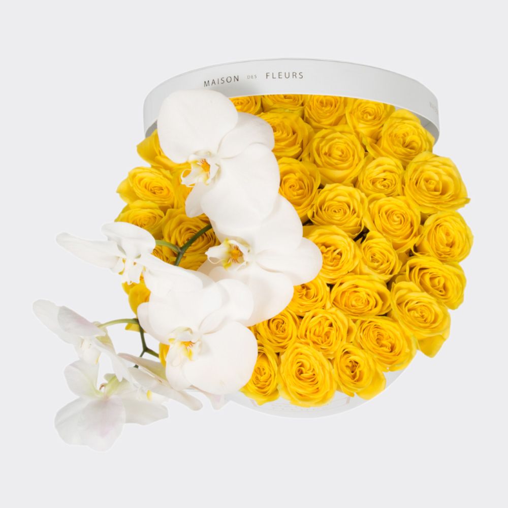 Fresh Yellow Roses and Orchids in a White Round Box