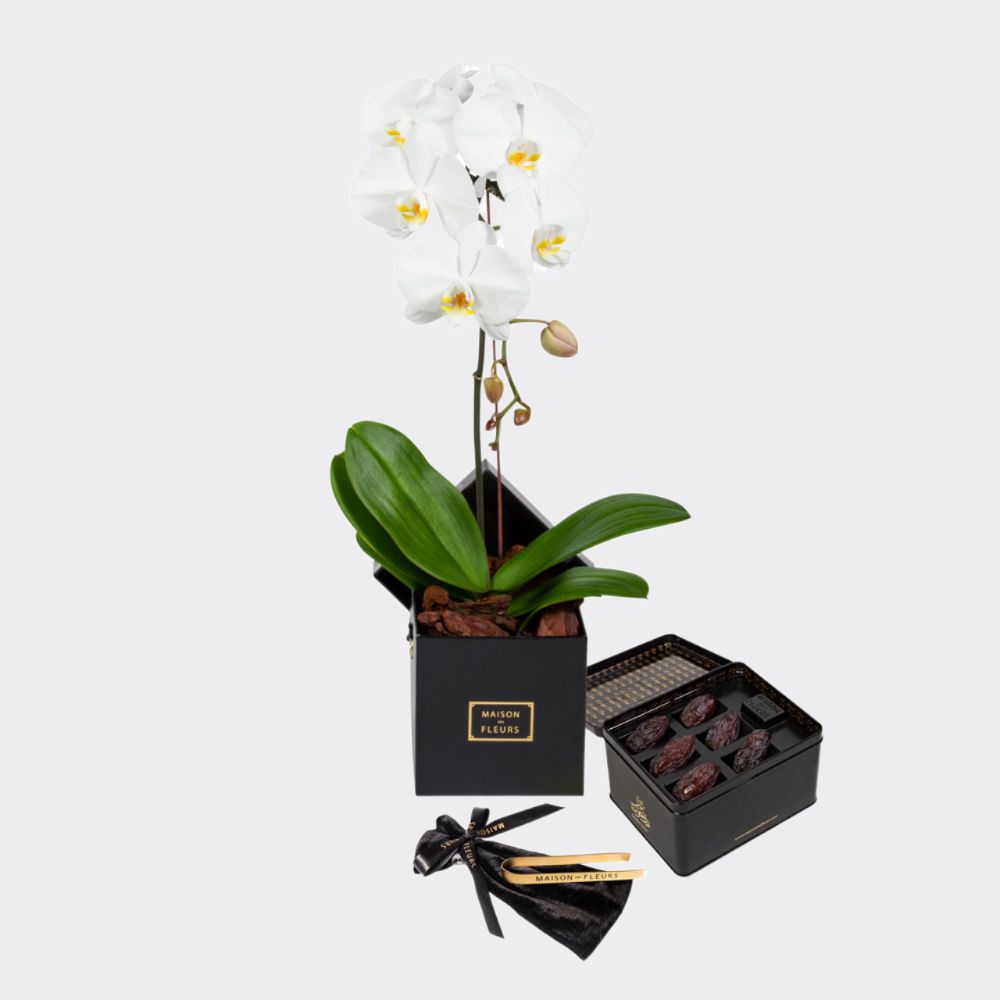 gift set of a single white orchid in a black 15 cm square box, with a large Medjool dates box