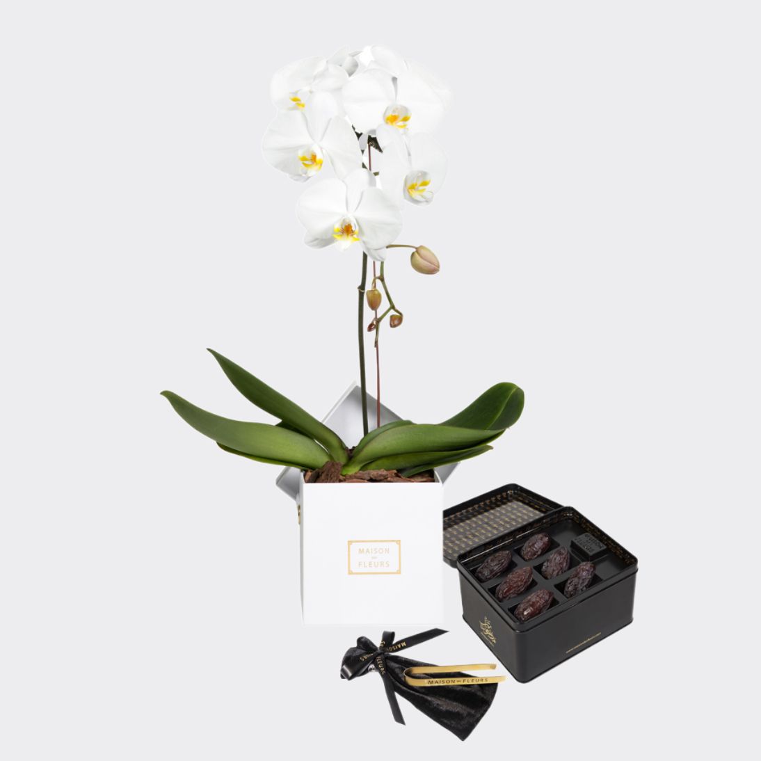 Gift set of a single white orchid in a white 15 cm square box, with a large Medjool dates box