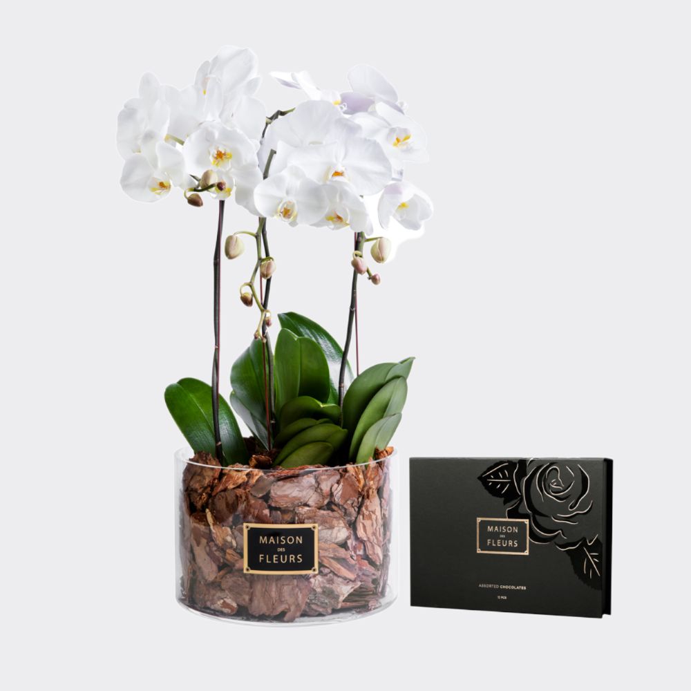 Gift set of 3 White orchids in a 30 cm round acrylic box, with a small box of chocolates.