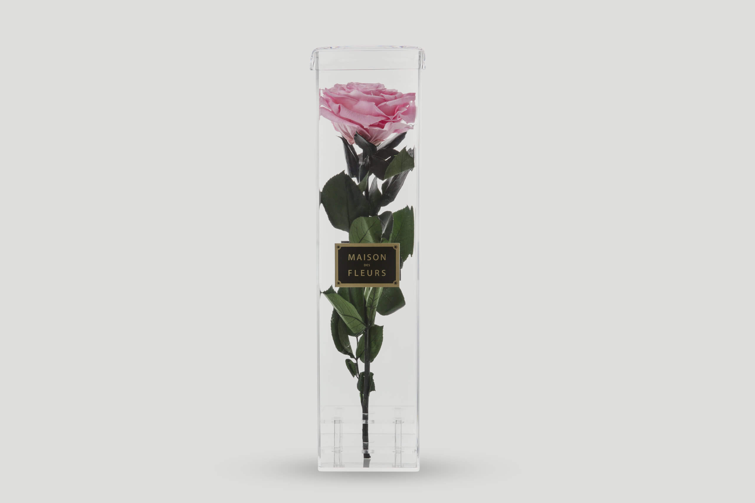 Pink Long Life Rose in an Acrylic Box