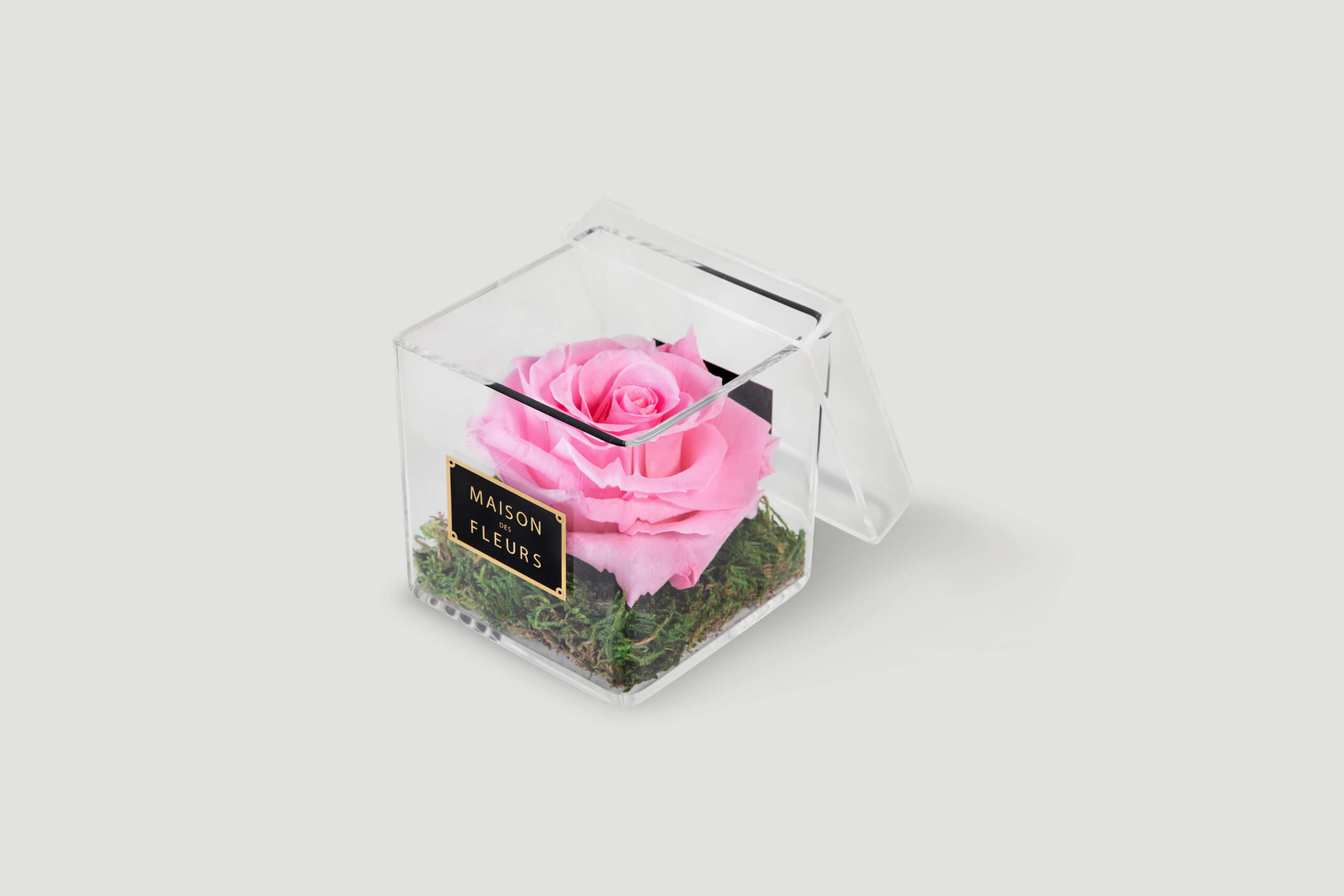 Long Life Pink Rose in an Acrylic Box