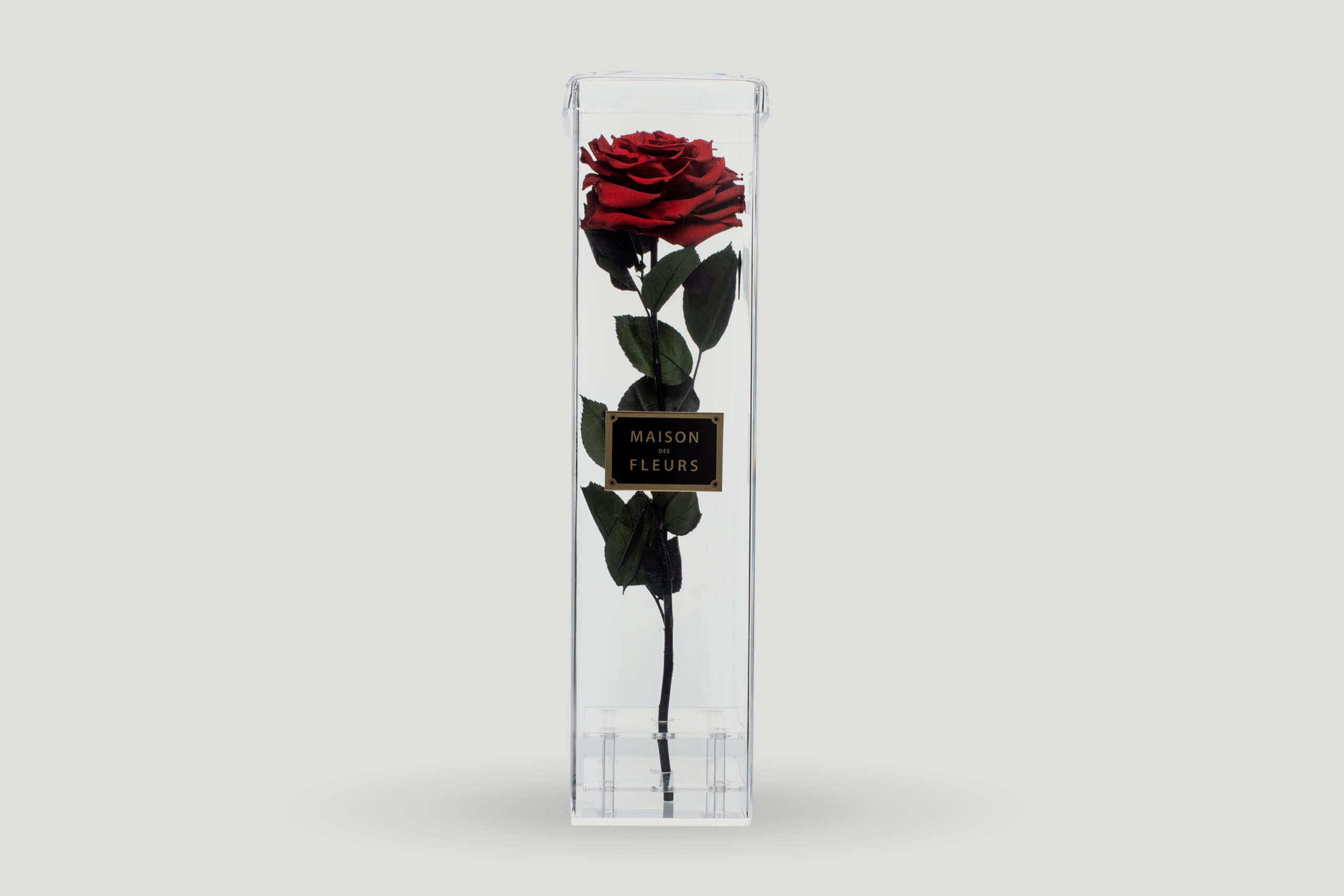 Red Long Life Rose in an Acrylic Box