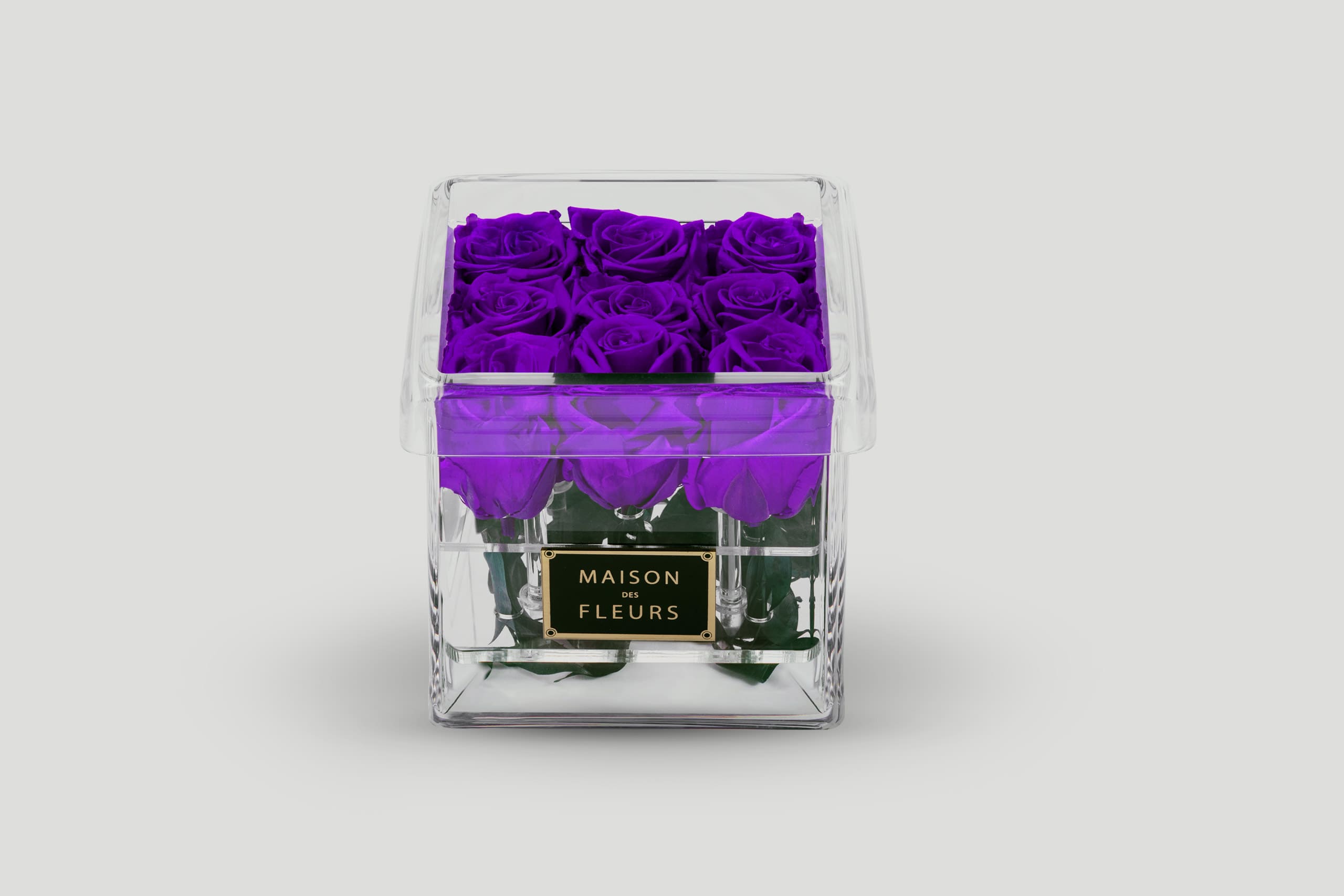 Purple Long life roses in a small acrylic box