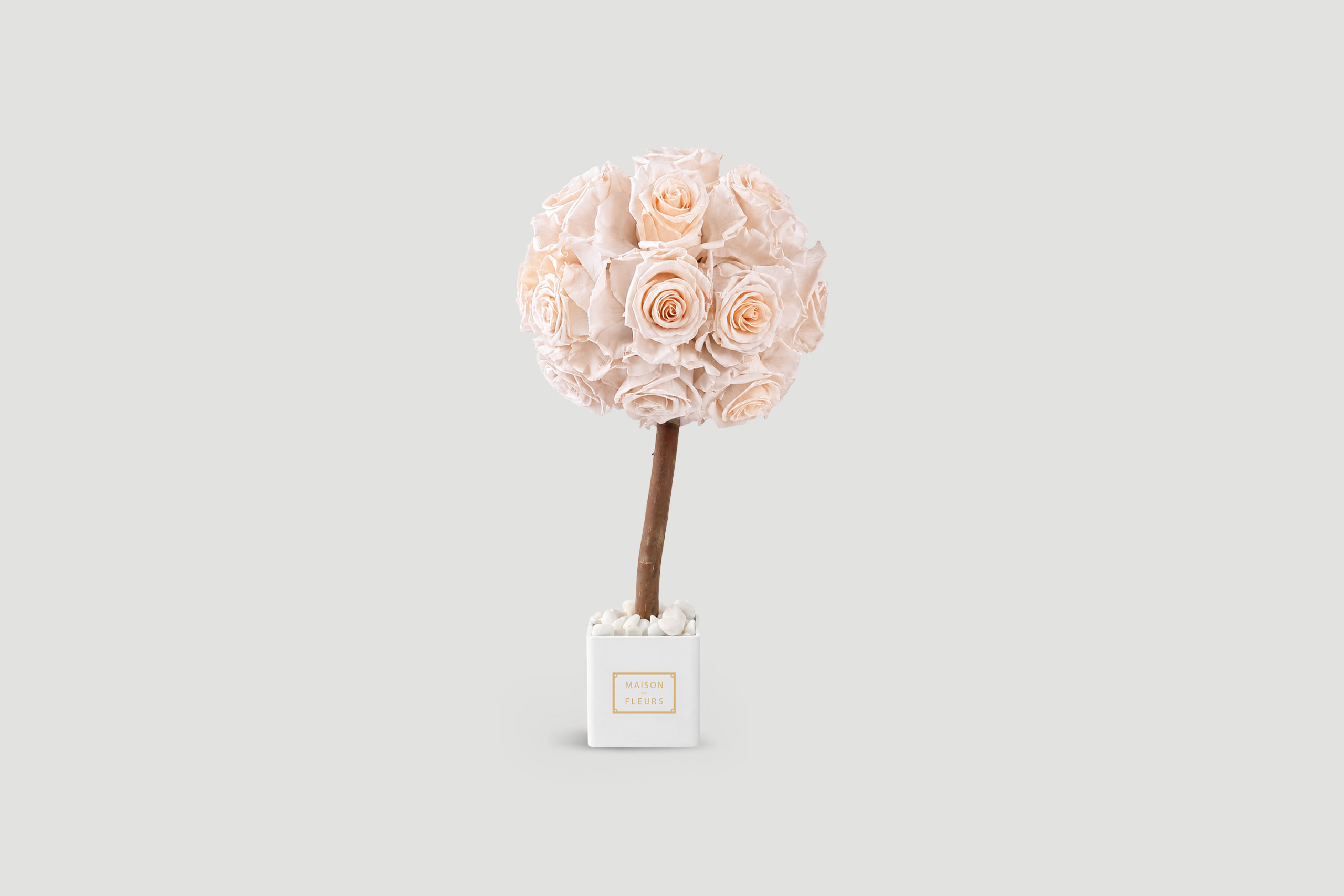 Ever In Bloom
