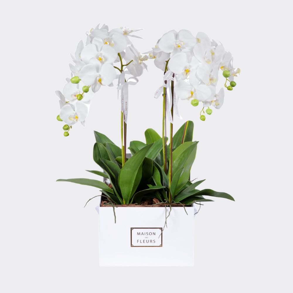 Faux white orchids
