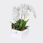 4 faux white orchids