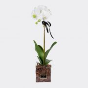 faux white orchid