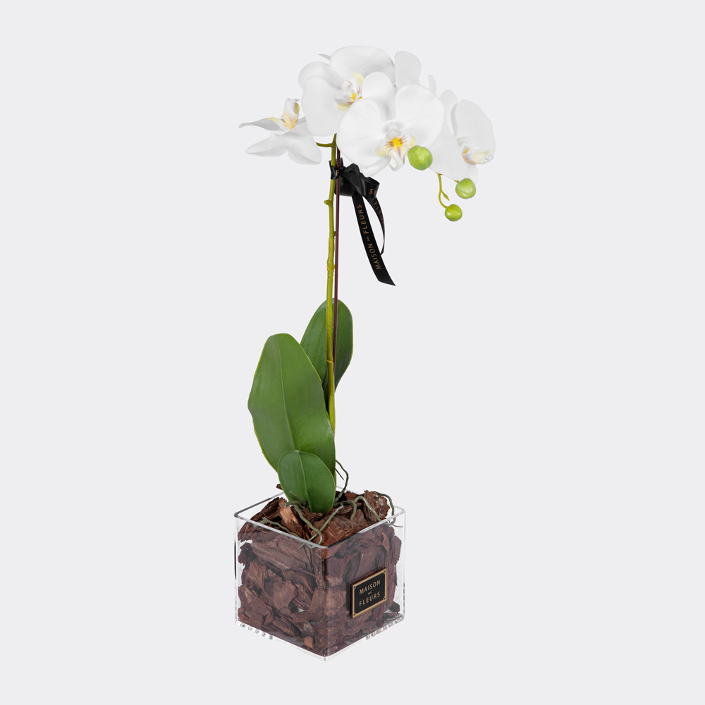 faux white orchid
