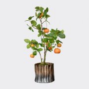 Faux orange tree