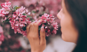 Best Flowers to Buy for People with Allergies